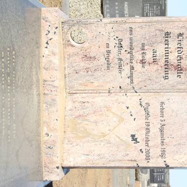 BERG Sanet, van den 1968-2000