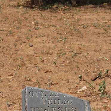 MERWE E.M.M., v.d. 1931-1931