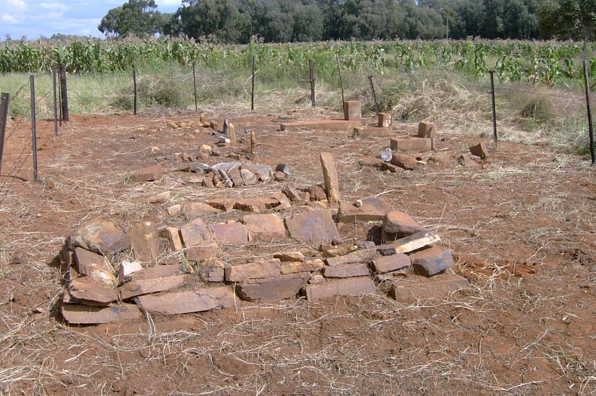 2. Overview / Oorsig