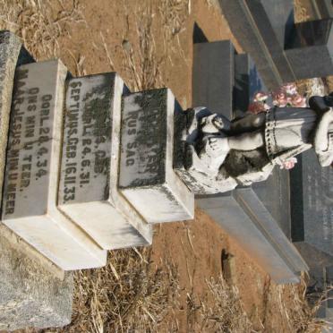 POTGIETER ? 1931-1931 :: POTGIETER Septimus 1933-1934