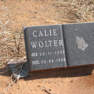 WOLTER Callie 1937-1998