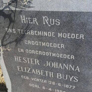 BUYS Hester Johanna Elizabeth nee VENTER 1877-1959