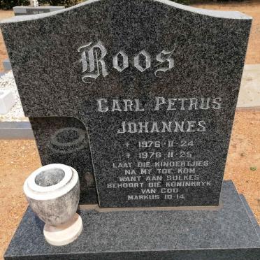 ROOS Carl Petrus Johannes 1976-1976