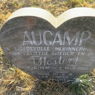 AUCAMP Hester 1897-1984