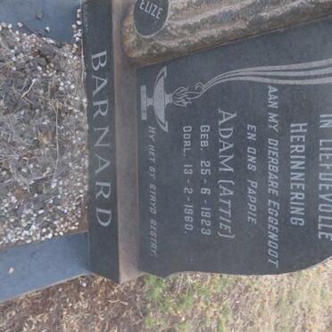 BARNARD Adam 1923-1960