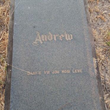 ? Andrew