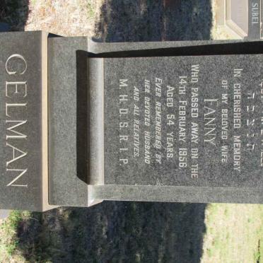 GELMAN Fanny -1956
