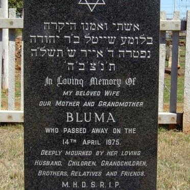 GLUCH Elic -1983 &amp; Bluma -1975
