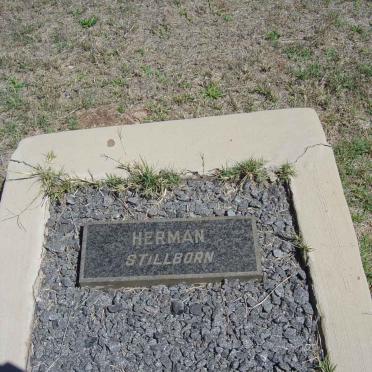 HERMAN ?