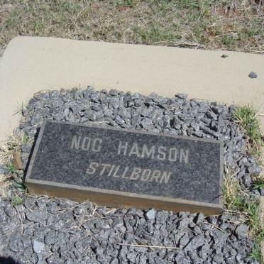 HAMSON Nog 