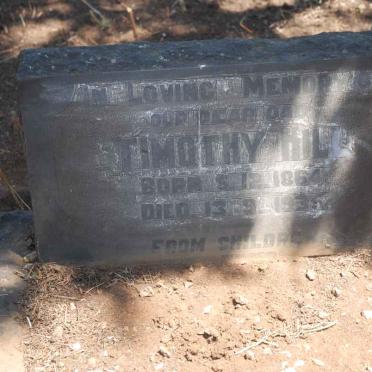 HILL Timothy 1864-1935