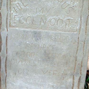 REYNEKE Johannes Gerhardus 1854-19??