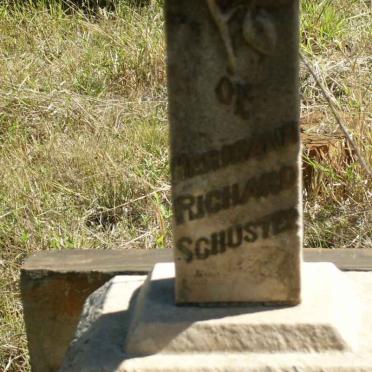 SCHUSTER Harrisson Richard -1901