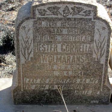 WOLMARANS Hester Cornelia 1952-1954