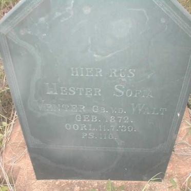 VENTER Hester Sofia nee V.D WALT 1872-1939