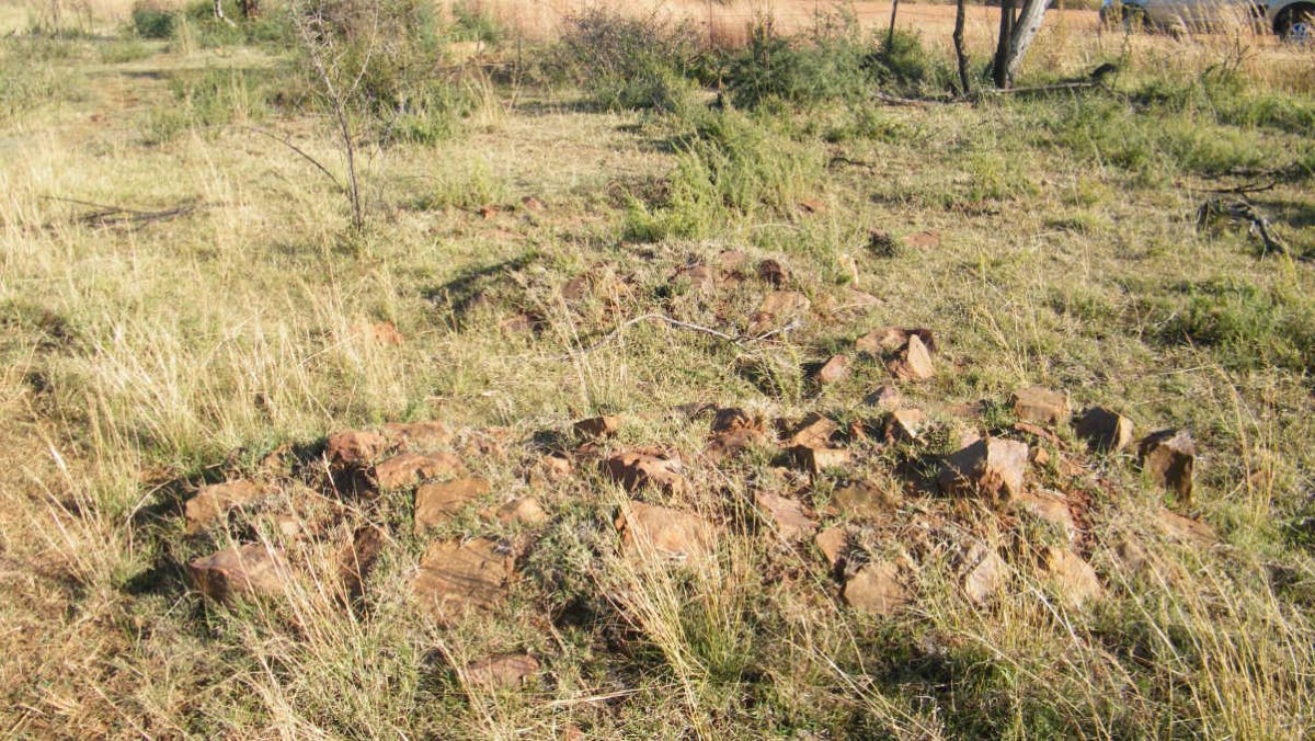 2. Overview