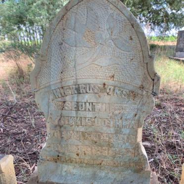 BOTHMA Frikkie 1942-1942