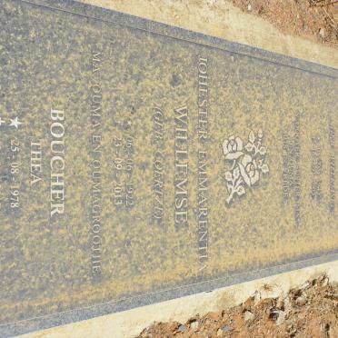 BOUCHER Cornelia Aletta nee WILLEMSE 1943-2003 :: WILLEMSE Johester Emmarentia nee COERTZE 1922-2013 :: BOUCHER Thea 1978-2015