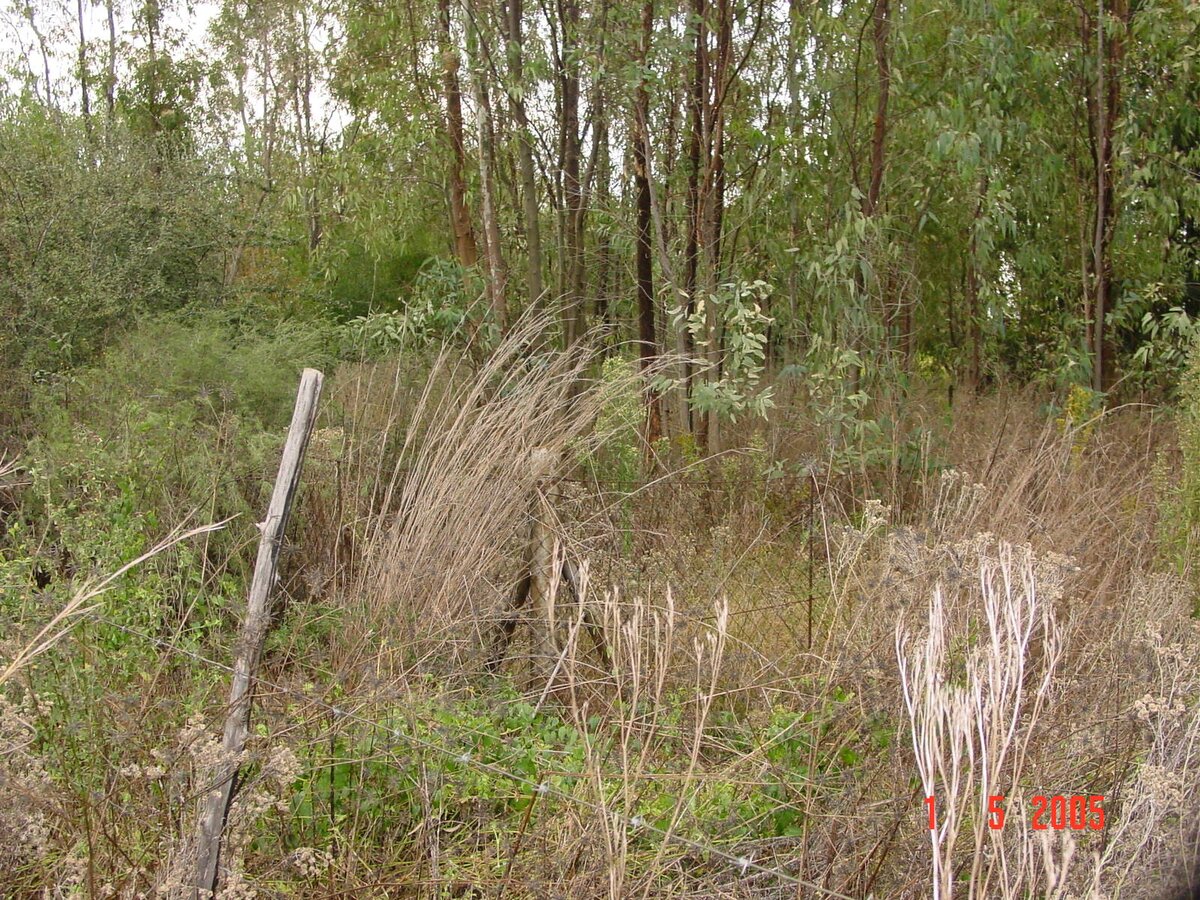 1. Overview