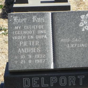 DELPORT Pieter Andries 1932-1987