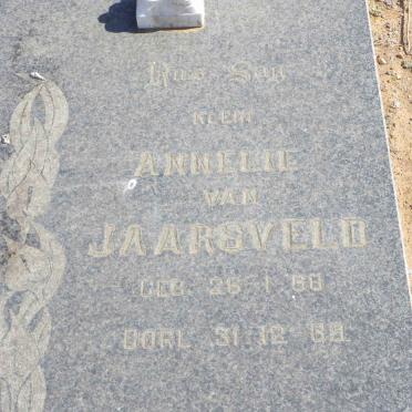 JAARSVELD Annelie, van 1968-1969