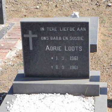 LOOTS Adrie 1961-1961