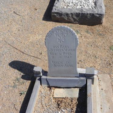 MAREE Jacobus 1947-1947