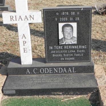 ODENDAAL A.C. 1978-2009