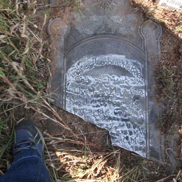 BEER Andries Jacobus, de 1854-1895