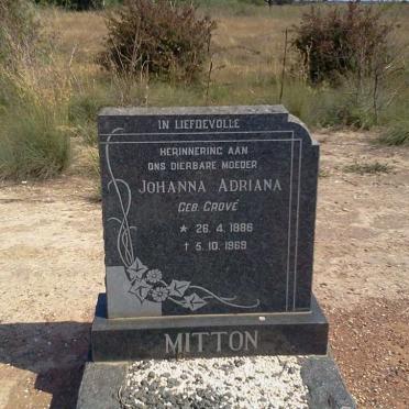 MITTON Johanna Adriana nee GROVÉ 1886-1969