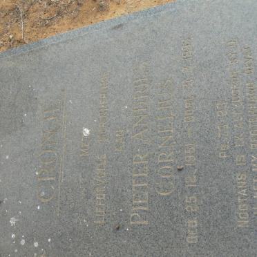 C - Surnames :: Vanne - C