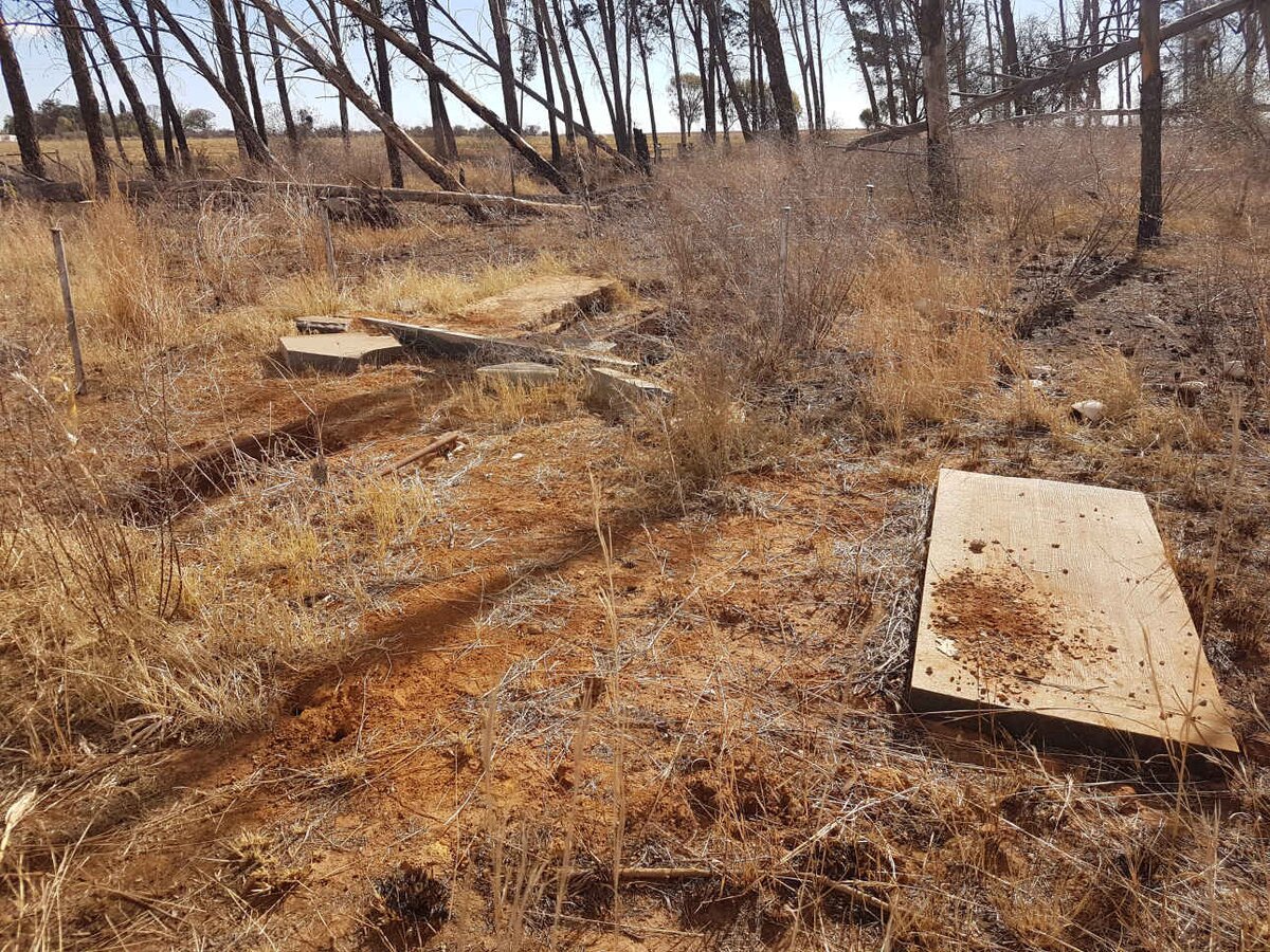 1. Overview / Oorsig