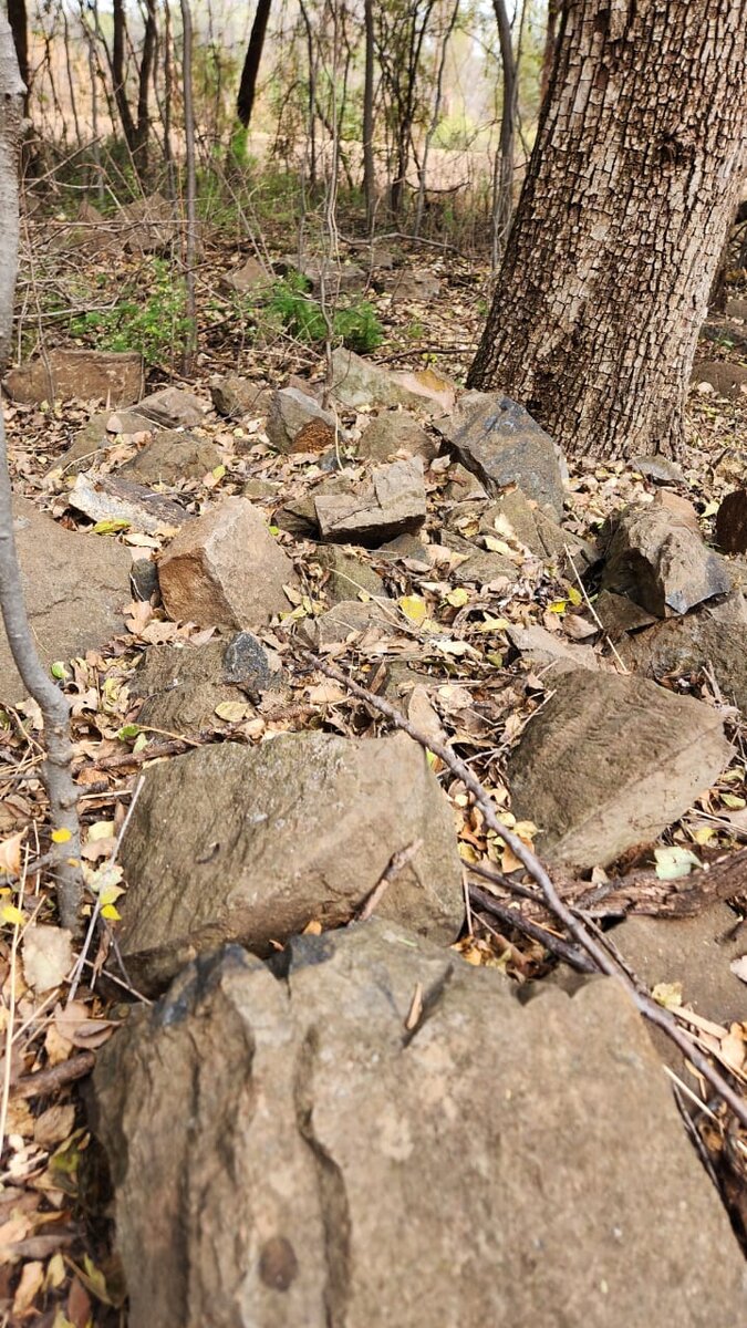 KOTZE Maria Christina nee VAN DER MERWE 1868-1891