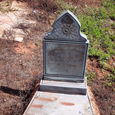 GREEFF Wollie 1910-1913