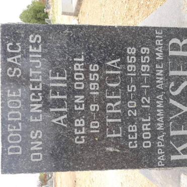 KEYSER Alfie 1956-1956 :: KEYSER Etrecia 1958-1959