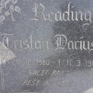 READING Cristan Darius 1980-1981