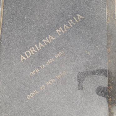 SWANEPOEL Philippus Petrus 1877-1963 &amp; Adriana Maria 1891-1959 