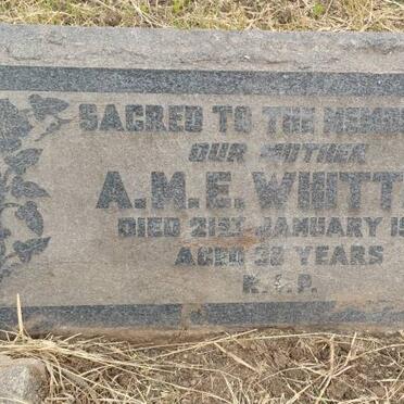 WHITTLE A.M.E. -1921