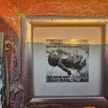 STERN Ozzi Rafael 2018-2018