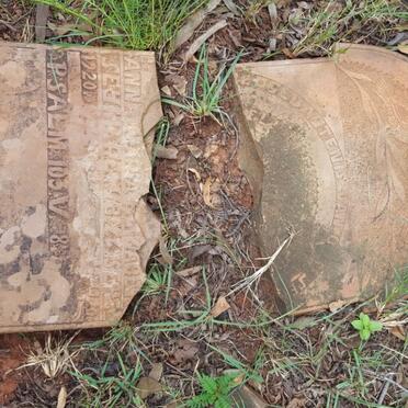 ? Anna Maria Elizabeth 1920