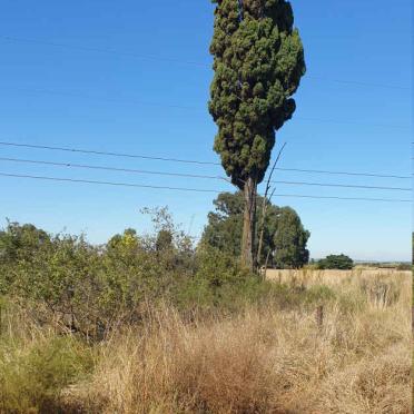North West, POTCHEFSTROOM district, Wildebeestlaagte 374, farm cemetery