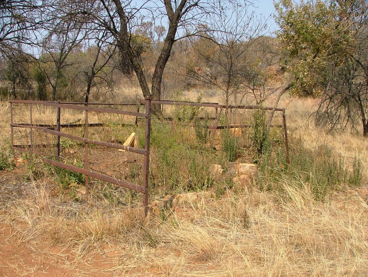 1. Overview of Koedoesfontein farm cemetery - Potchefstroom