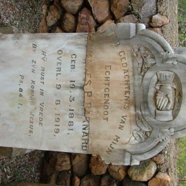 BARNARD Johannes P. 1881-1919