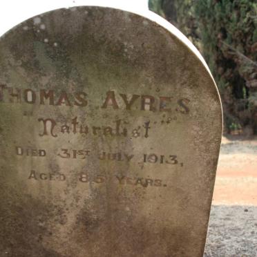 AYRES Thomas -1913