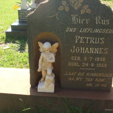 BERG Petrus Johannes, van den 1950-1959