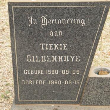 GILDENHUYS Tiekie 1980-1980