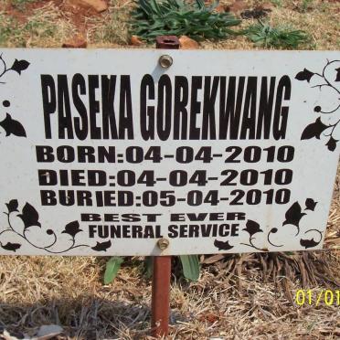 GOREKWANG Paseka 2010-2010