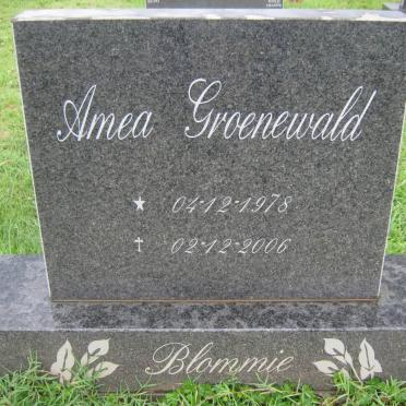 GROENEWALD Amea 1978-2006