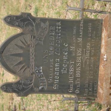 HEYNEKE Matthys Andries 1866-1940 &amp; Susanna Magrieta HERBST 1869-1945