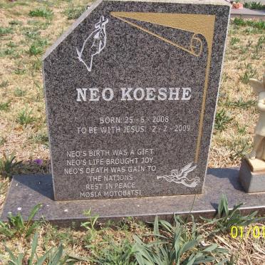 KOESHE Neo 2008-2009
